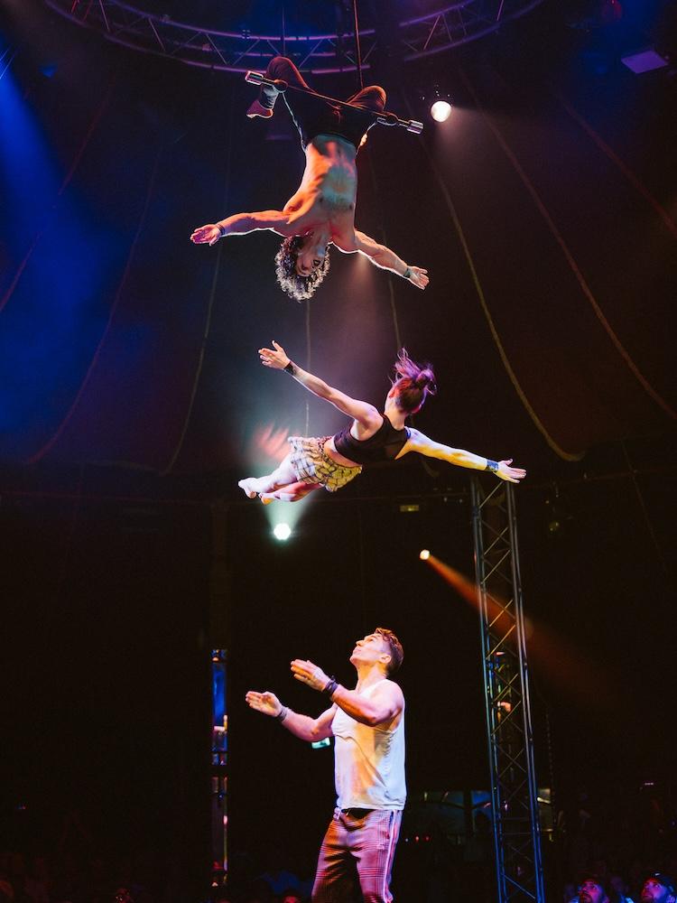 Sophie’s Surprise Party